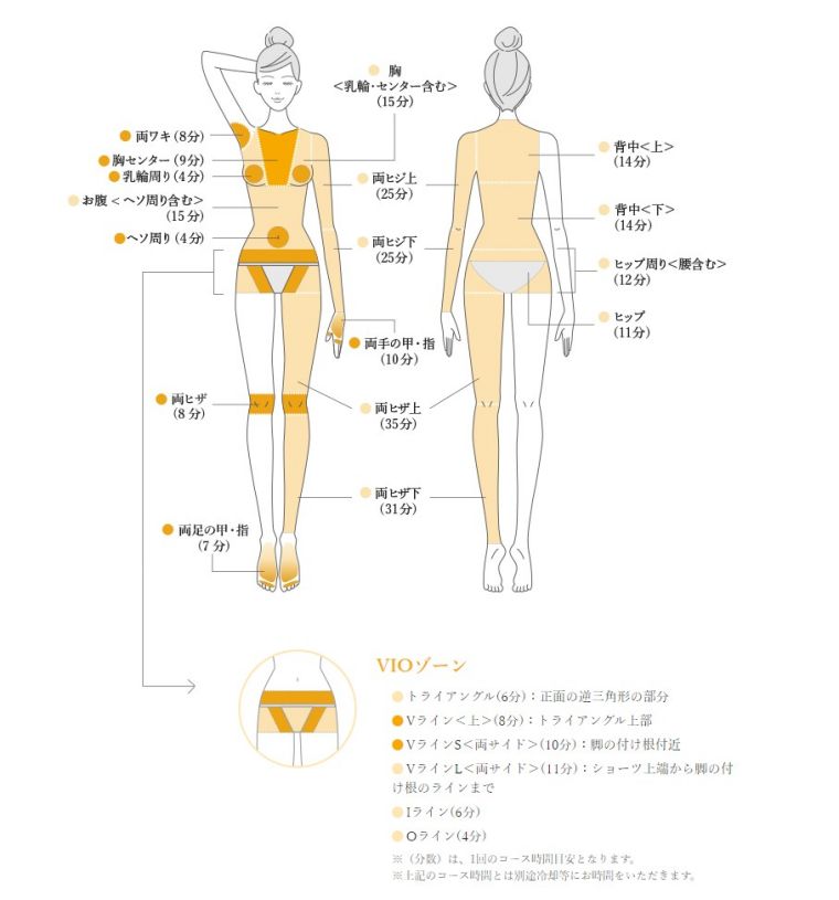 TBCの脱毛部位